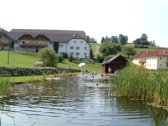 Schwimmteiich Koller