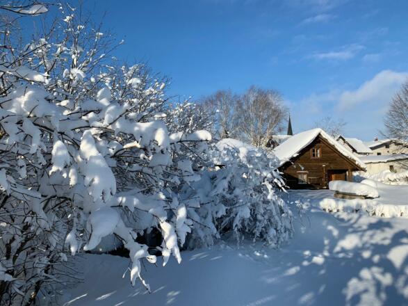 Sterzhütte Winter