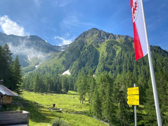 Blick von der Pfaffenhofer Alm in den Talkessel. Rechts der Narrenkopf und ganz hinten der Gipfel des Hocheder.