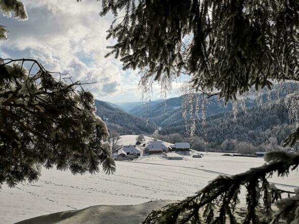 Winterausblick zum Steinöckerhaus