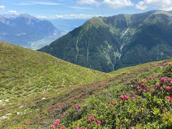 Man gelangt in eine Senke, wo man in den Steig nach Westen einmündet. Von drüben grüßt der Rauhe Kopf herüber.