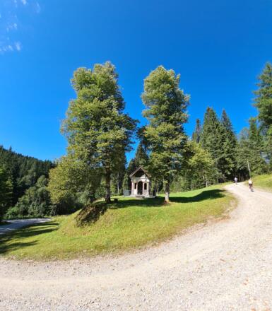 Durchs Halbammertal