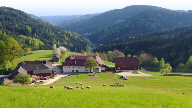Steinöckerhaus