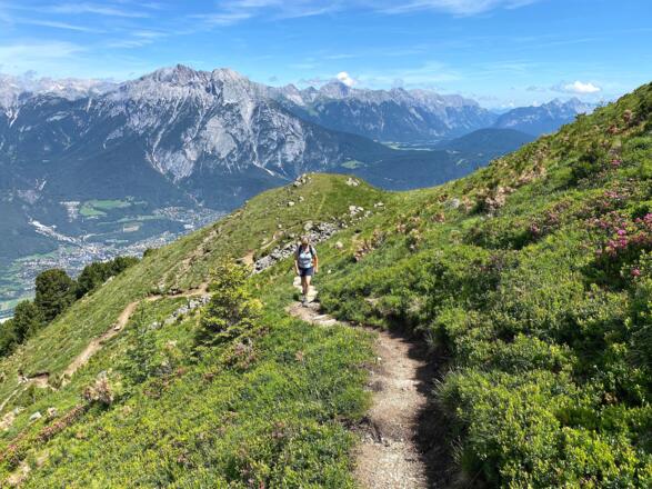 Der Steig ist nicht nur schön angelegt, er bietet auch eine grandiose Aussicht auf die umliegende Bergwelt.