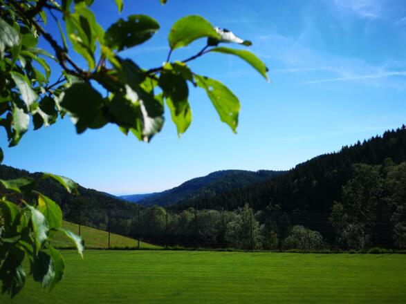 Ausblick in Stampfenbachtal