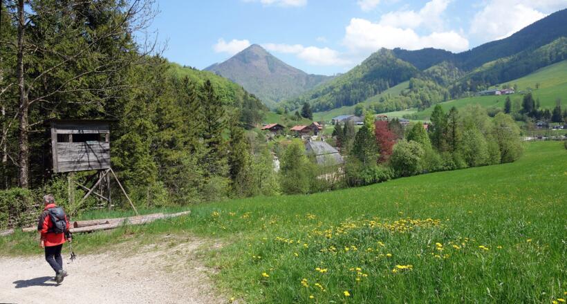 Ramsau, Hoher Trailing im Hintergrund