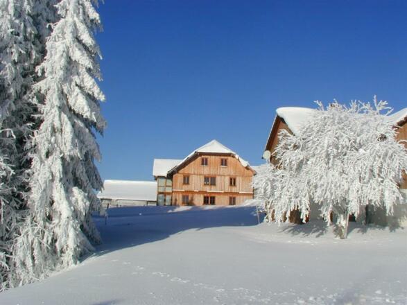 Arbeit am Turnier