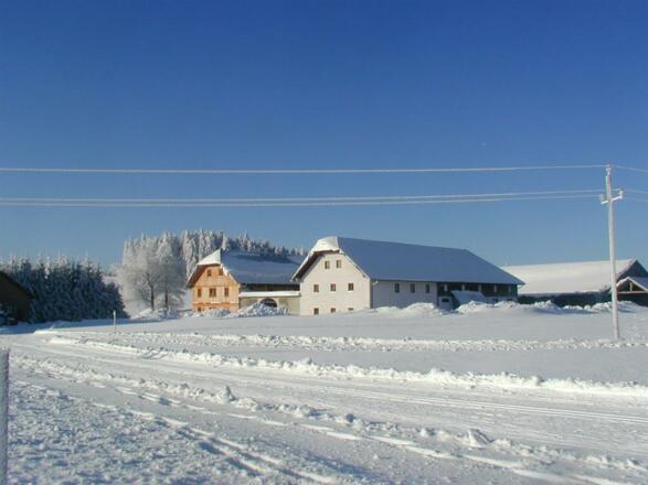 gemeinsmes Nickerchen