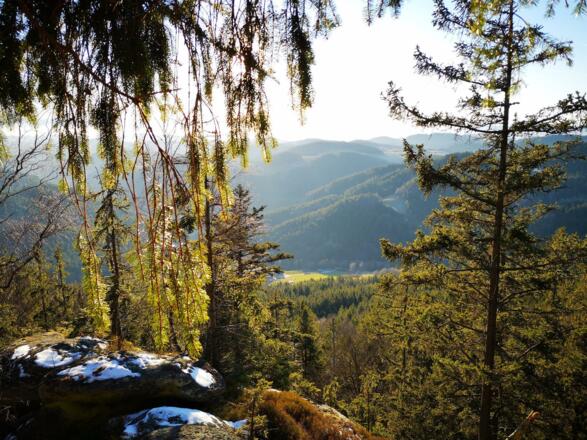 Blick vom Herrensitz zum Steinöckerhaus