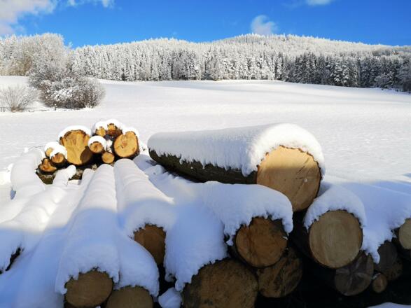 Winterlandschaft