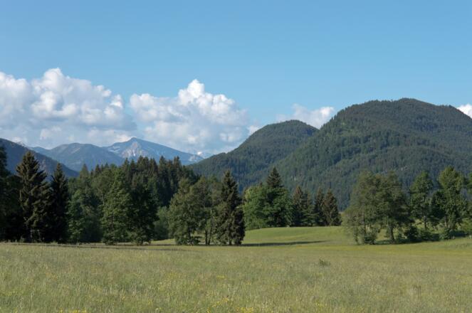 Blick aus dem Isarwinkel zum Schafreuter