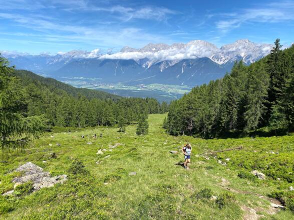 Langsam aber sicher gewinnt man an Höhe und tritt mit zunehmender Höhe aus der Waldgrenze heraus.