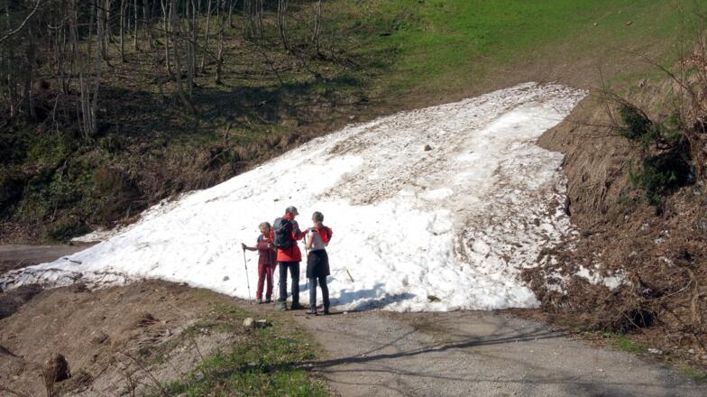 Forststraße um 1050m, nach steilem Wiesenanstieg. Links weiter