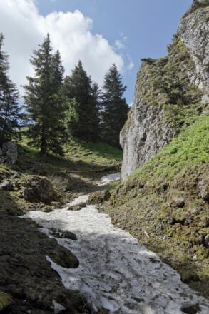 Anstieg zum Schönberg