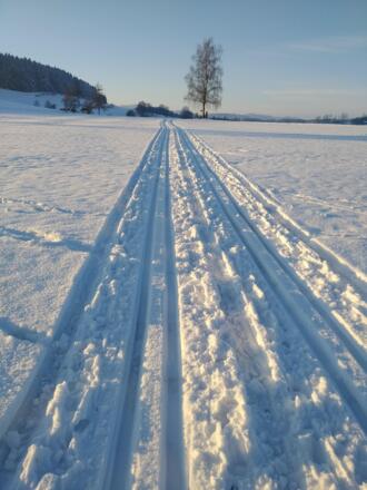 IMG_20210110_150148