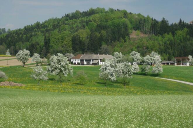 Ziermetzer Weitblick