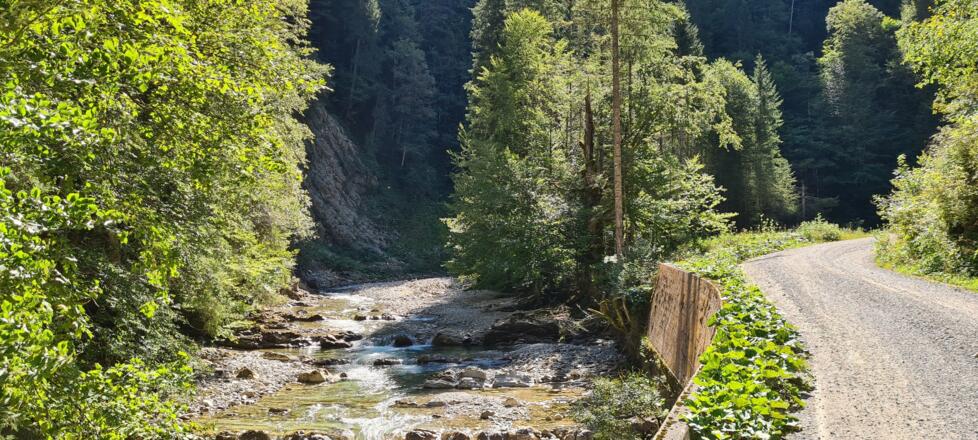 Durchs Halbammertal