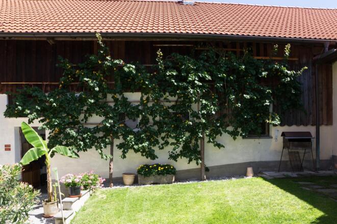 Innenhof