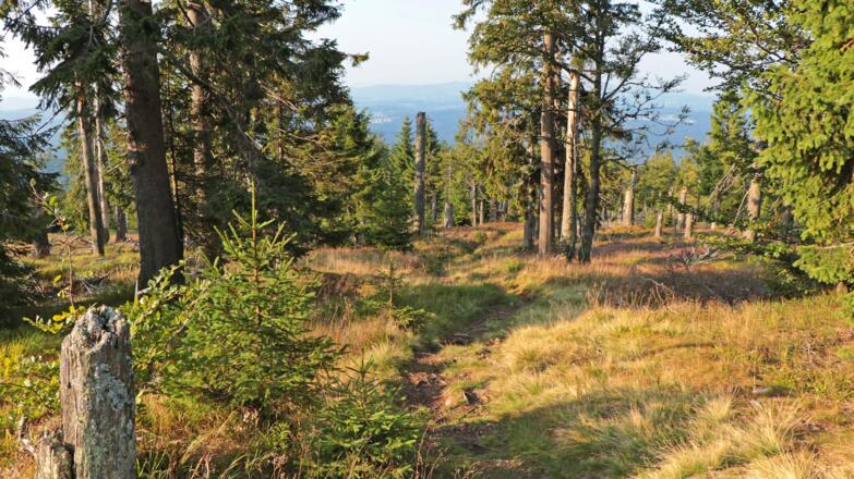 Klingenbrunner Rachelsteig