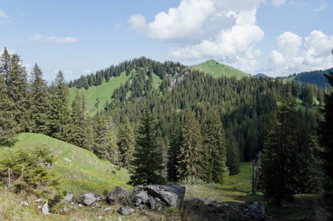 Blick auf das Seekarkreuz