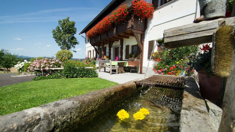 Hausansicht mit Brunnen