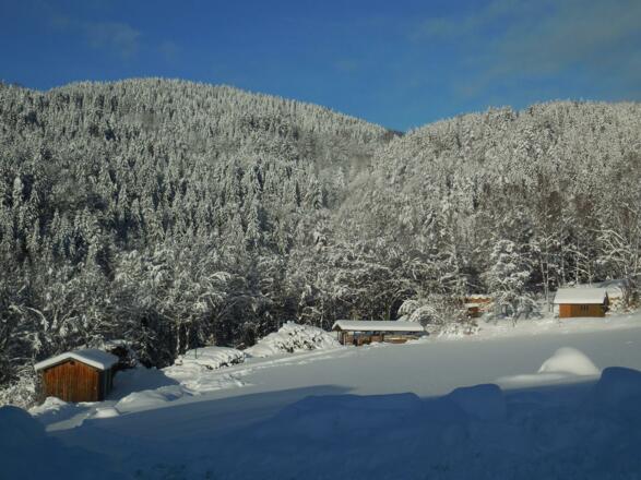 Winter