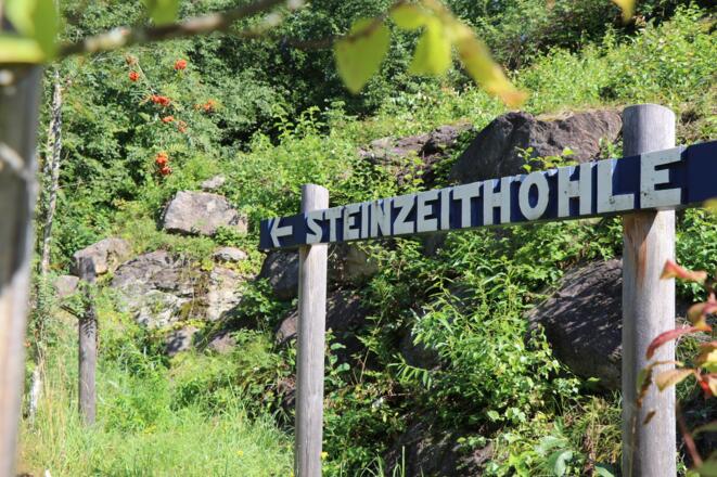 Steinzeithöhle im Tier-Freigelände des Nationalparkzentrum Falkenstein