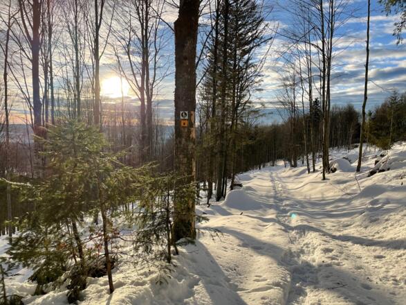 Rundweg Kreuzspinne im Winter