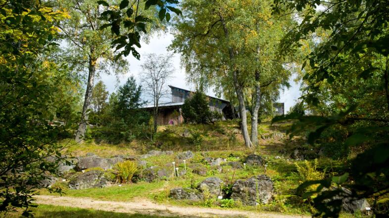 Gesteinsfreigelände