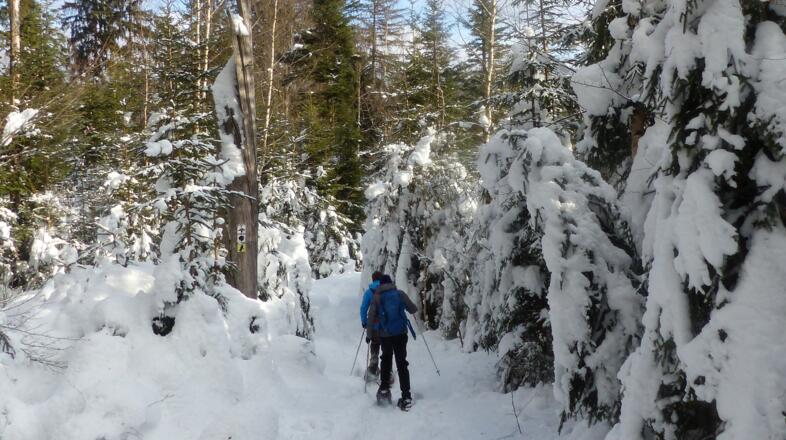Winterwanderweg