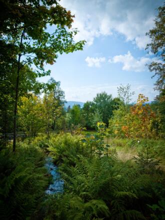 Pflanzen-Freigelände