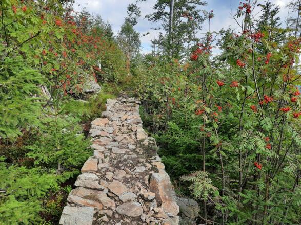 Wanderweg am Siebensteinkopf