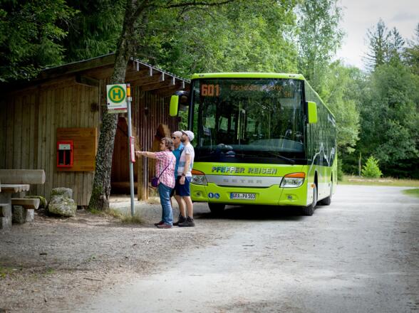 Igelbus