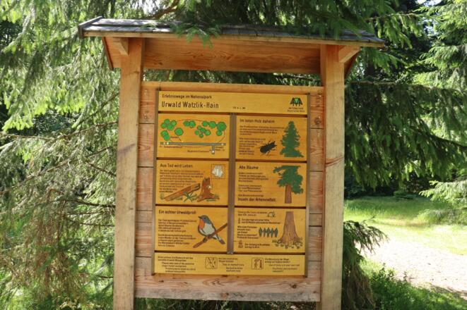 Urwaldrelikt Hans-Watzlik-Hain