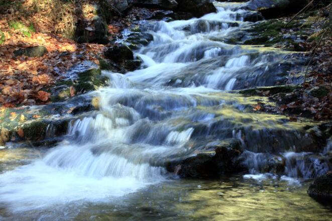 Flanitz bei Klingenbrunn-Bahnhof