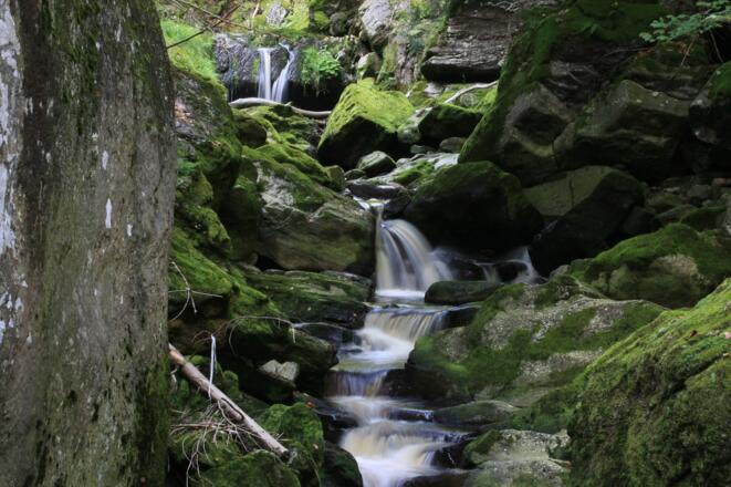 Große Ohe in der Steinklamm bei Spiegelau