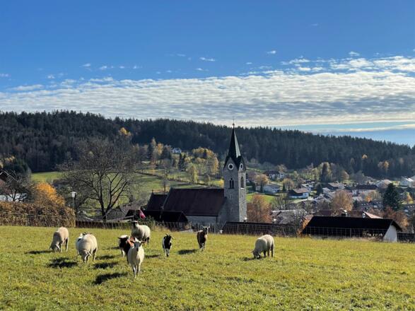 Neuschönau