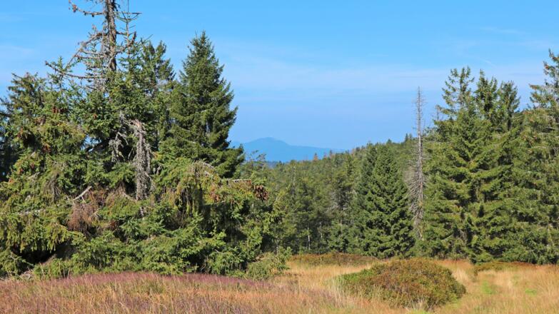 Verlorener Schachten