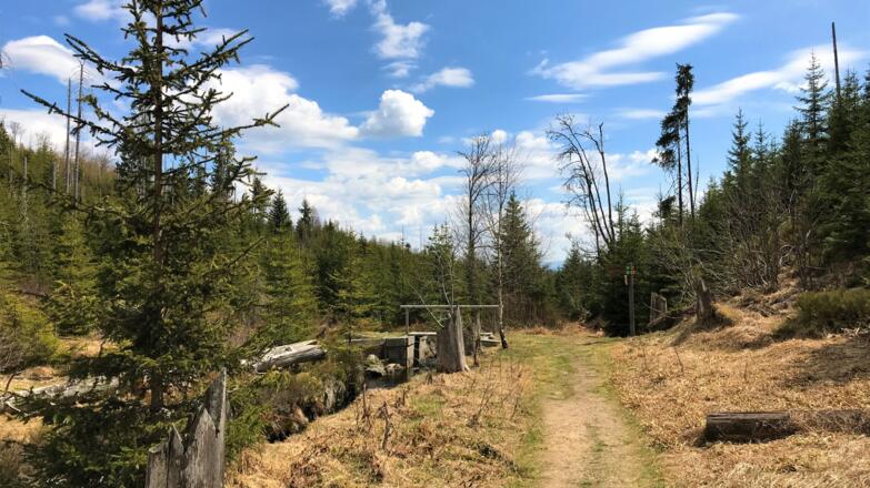 Wanderweg