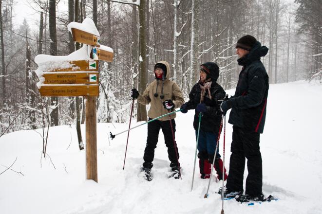 Mit Schneeschuhen im Winterwald