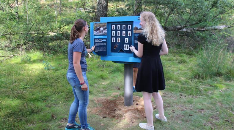 Themenbox Pflanzenfreigelände