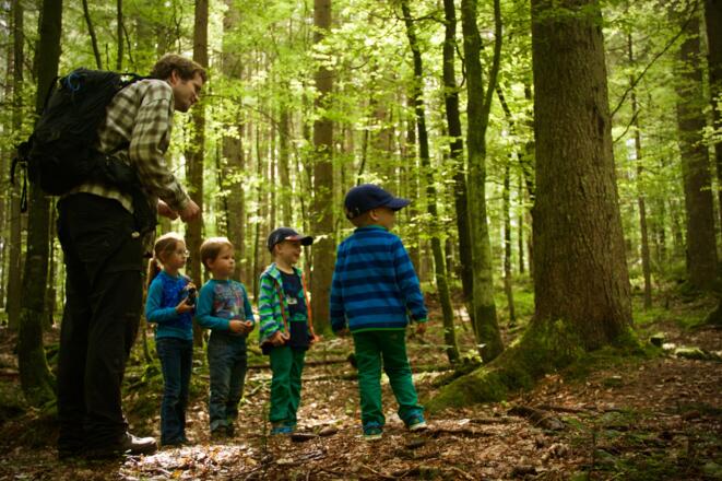 Unterwegs im Waldspielgelände
