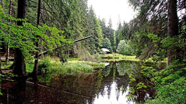 Höllbachschwelle