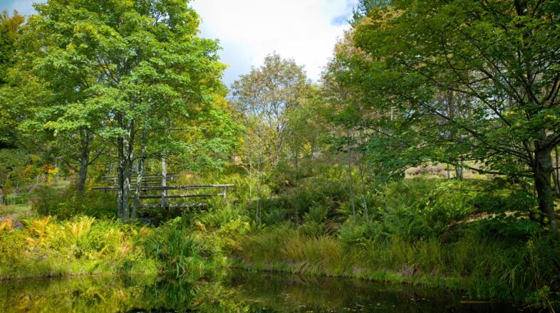 Gesteinsfreigelände