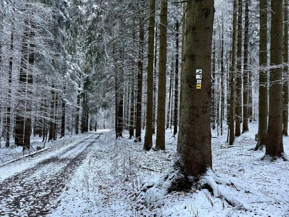 Wanderweg Feldhase im Winter