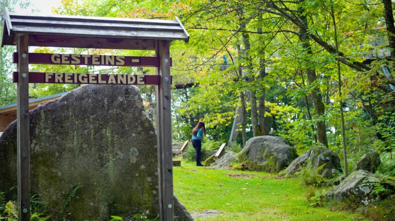 Gesteinsfreigelände