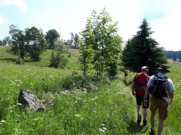Offene Kulturlandschaft bei Knižecí Pláně (Fürstenhut)