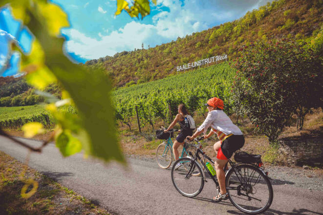 auf-dem-saaleradweg-durchs-saale-unstrut-weinanbau-gebiet_etappe-6_c_vinvent_graetsch