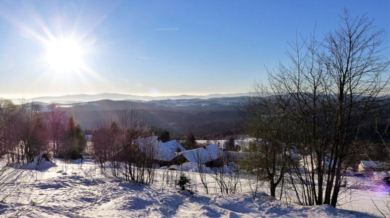 Waldhäuser Ausblick