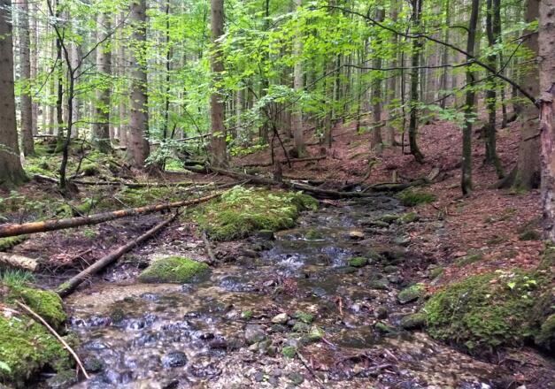 Pommerbach